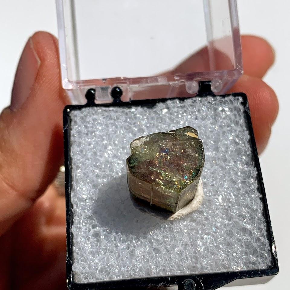 Rare Gemmy Watermelon Tourmaline Point From Brazil in Collectors Box #3 - Earth Family Crystals