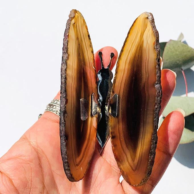 Gorgeous  Agate Display Butterfly Specimen #1 - Earth Family Crystals