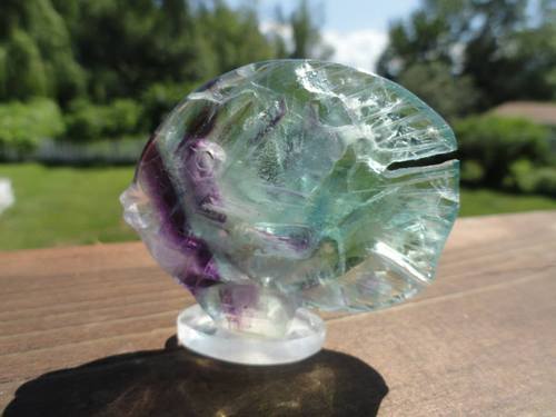 Fluorite Fish - Earth Family Crystals
