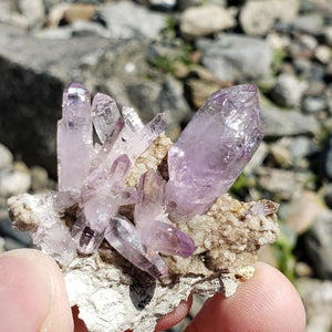 Sceptre Point  Vera Cruz Amethyst Cluster on Matrix