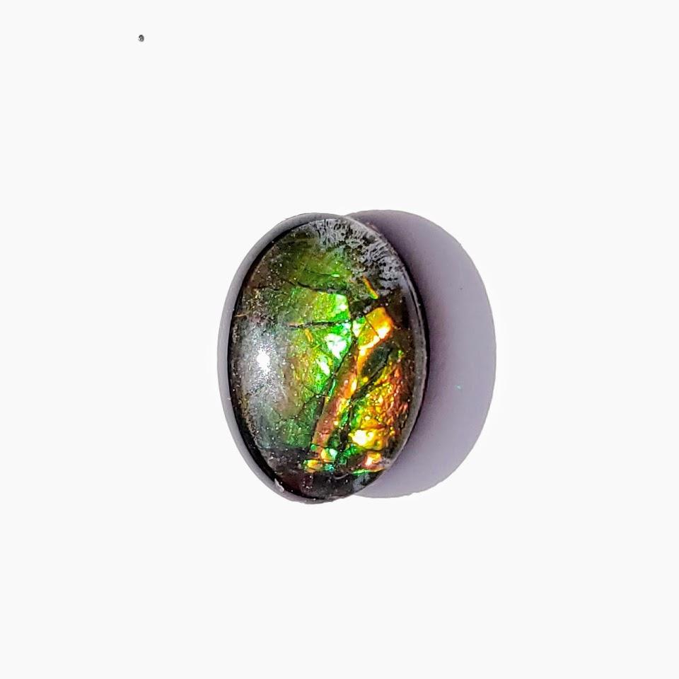 Quartz Capped Alberta Ammolite Small Cabochon in Collectors Box -Ideal for Crafting #1