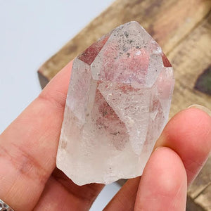 Natural Brazilian Green Chlorite Clear Quartz Point #1 - Earth Family Crystals