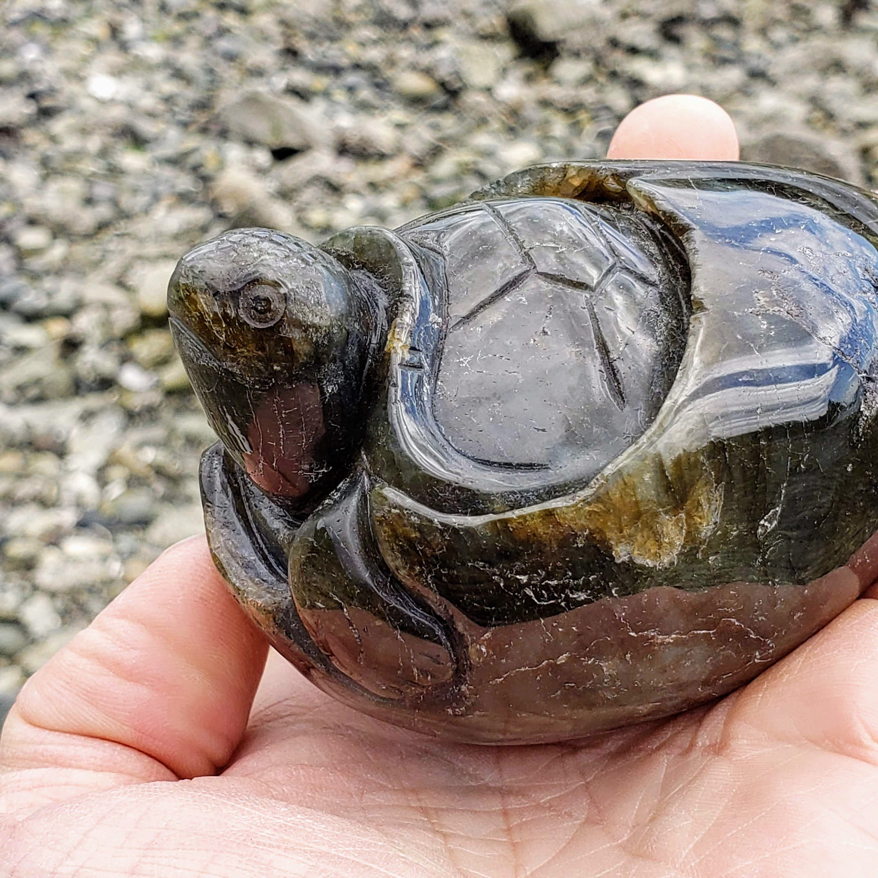 Adorable Large Hatching Turtle Labradorite Carving - Earth Family Crystals