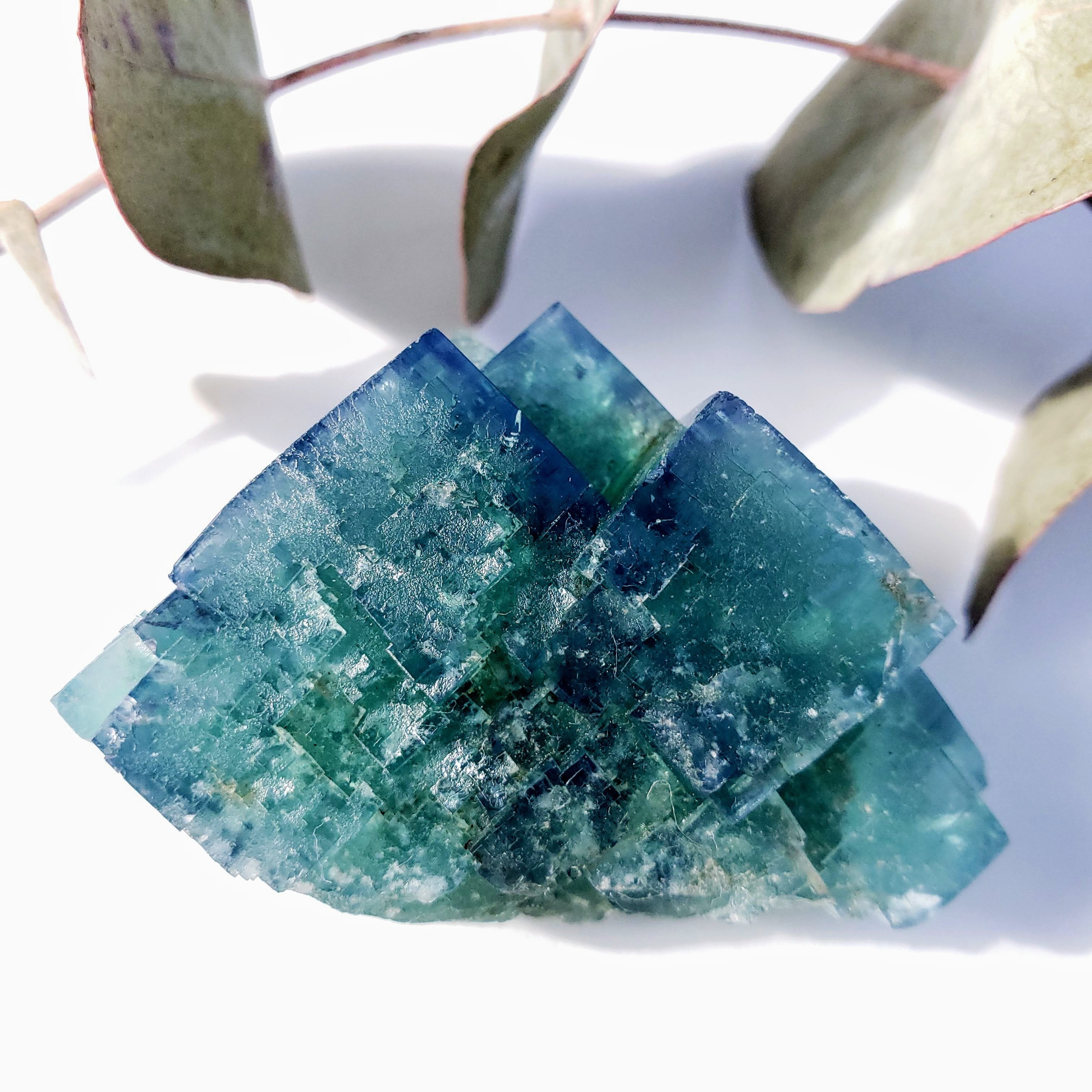 Famous Locality~Rogerley Mine Fluorite Cluster From Frosterley, England #7 (Color Changing in Various Light) - Earth Family Crystals