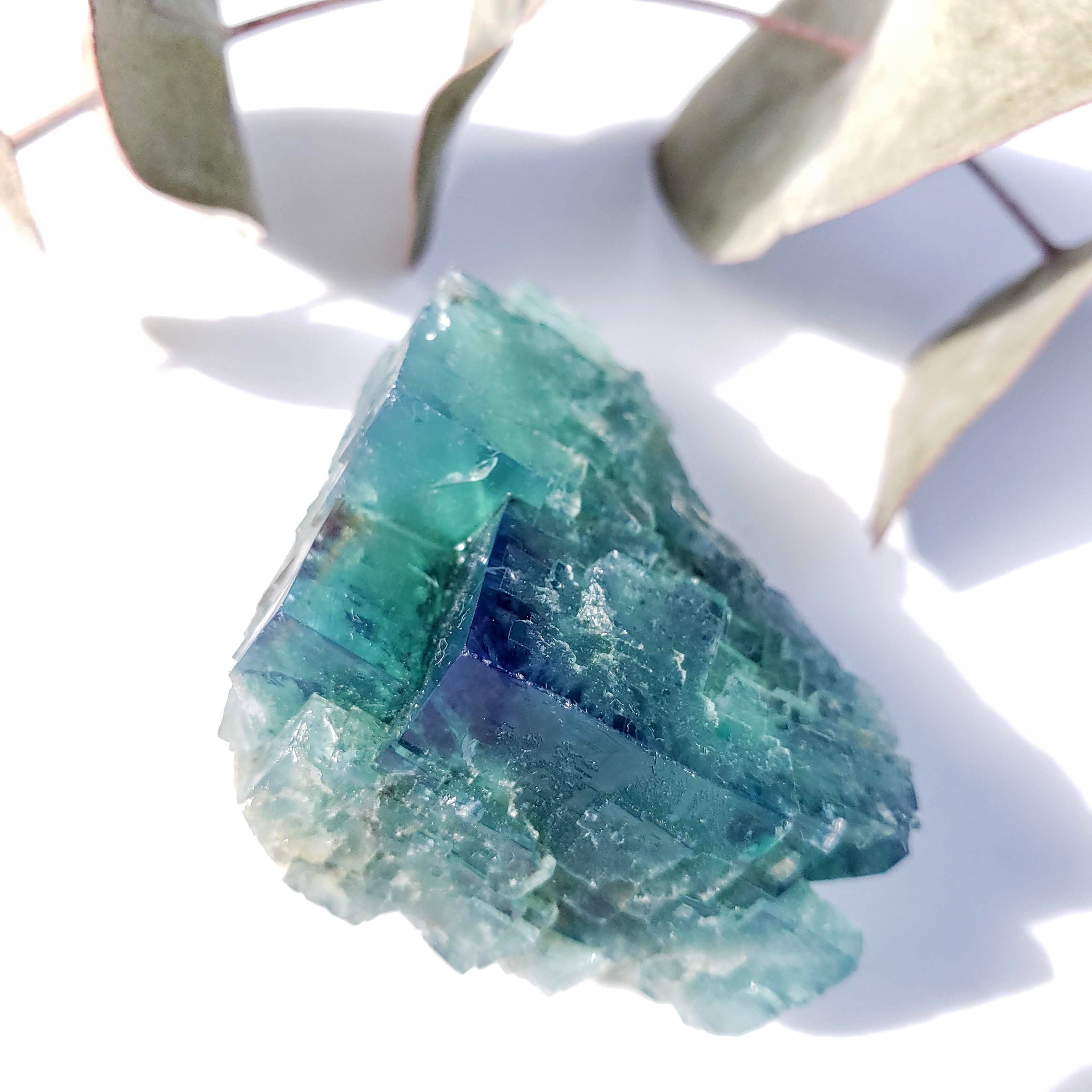 Famous Locality~Rogerley Mine Fluorite Cluster From Frosterley, England #7 (Color Changing in Various Light) - Earth Family Crystals