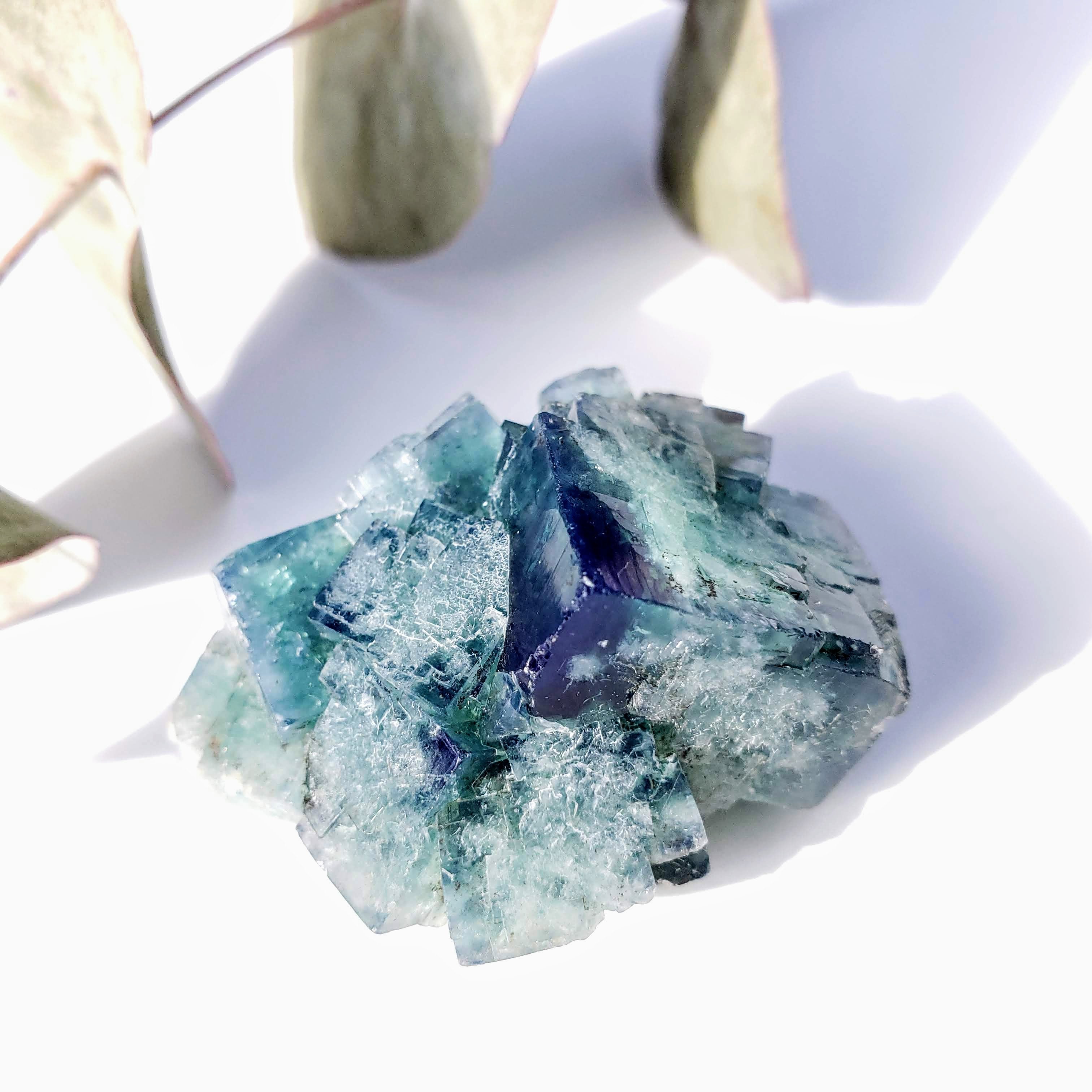 Famous Locality~Rogerley Mine Fluorite Cluster From Frosterley, England #6 (Color Changing in Various Light) - Earth Family Crystals