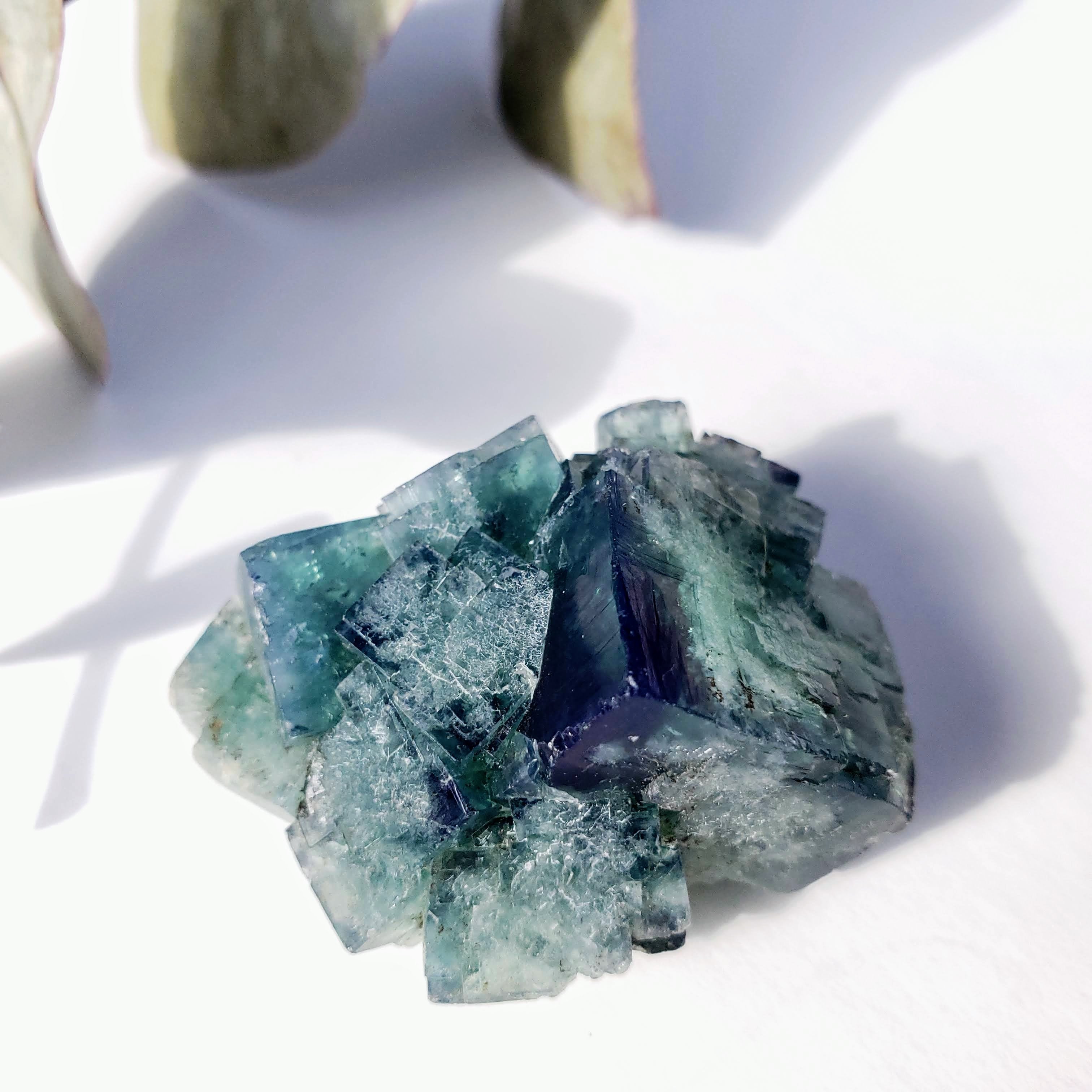 Famous Locality~Rogerley Mine Fluorite Cluster From Frosterley, England #6 (Color Changing in Various Light) - Earth Family Crystals