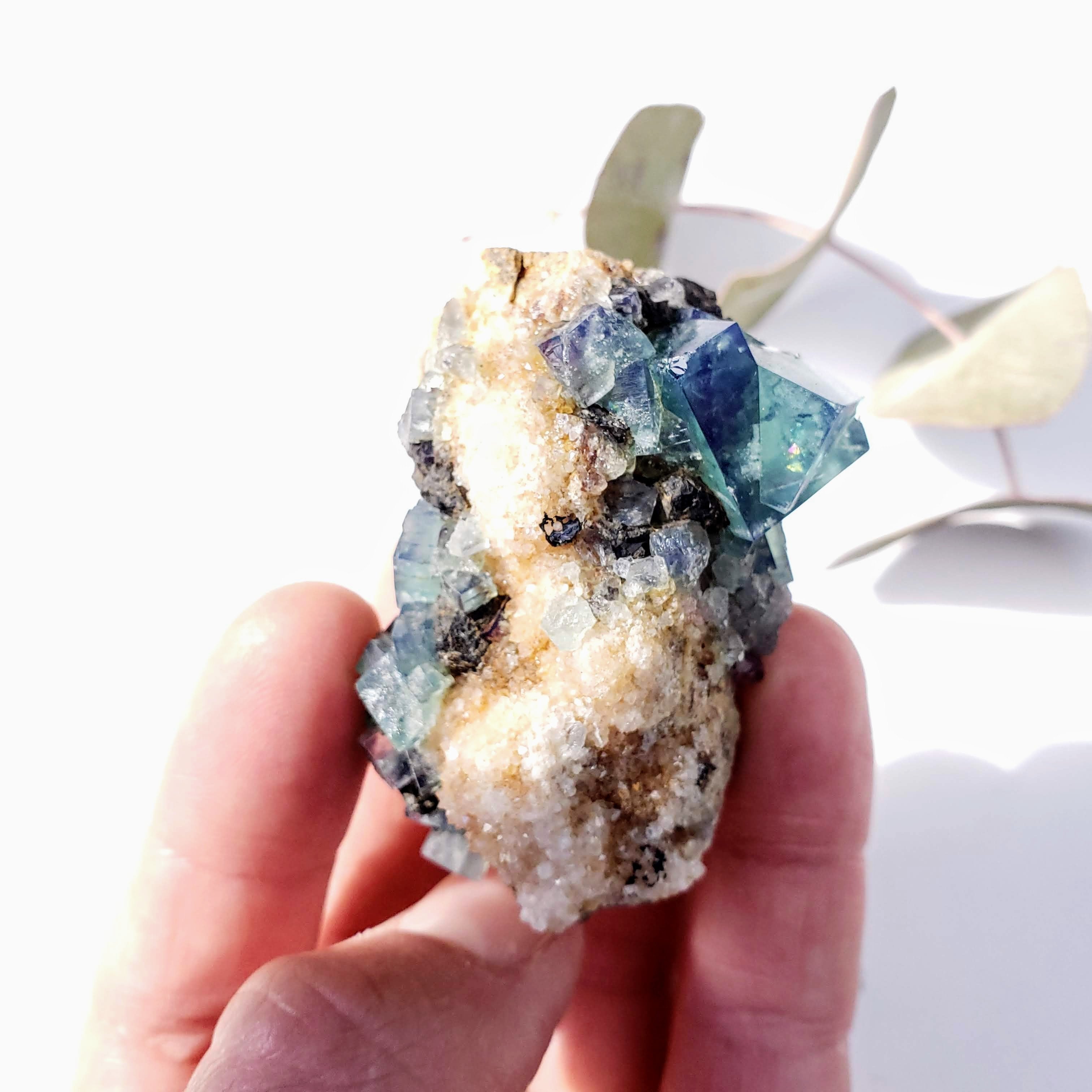 Famous Locality~Rogerley Mine Fluorite Cluster From Frosterley, England #5 (Color Changing in Various Light) - Earth Family Crystals