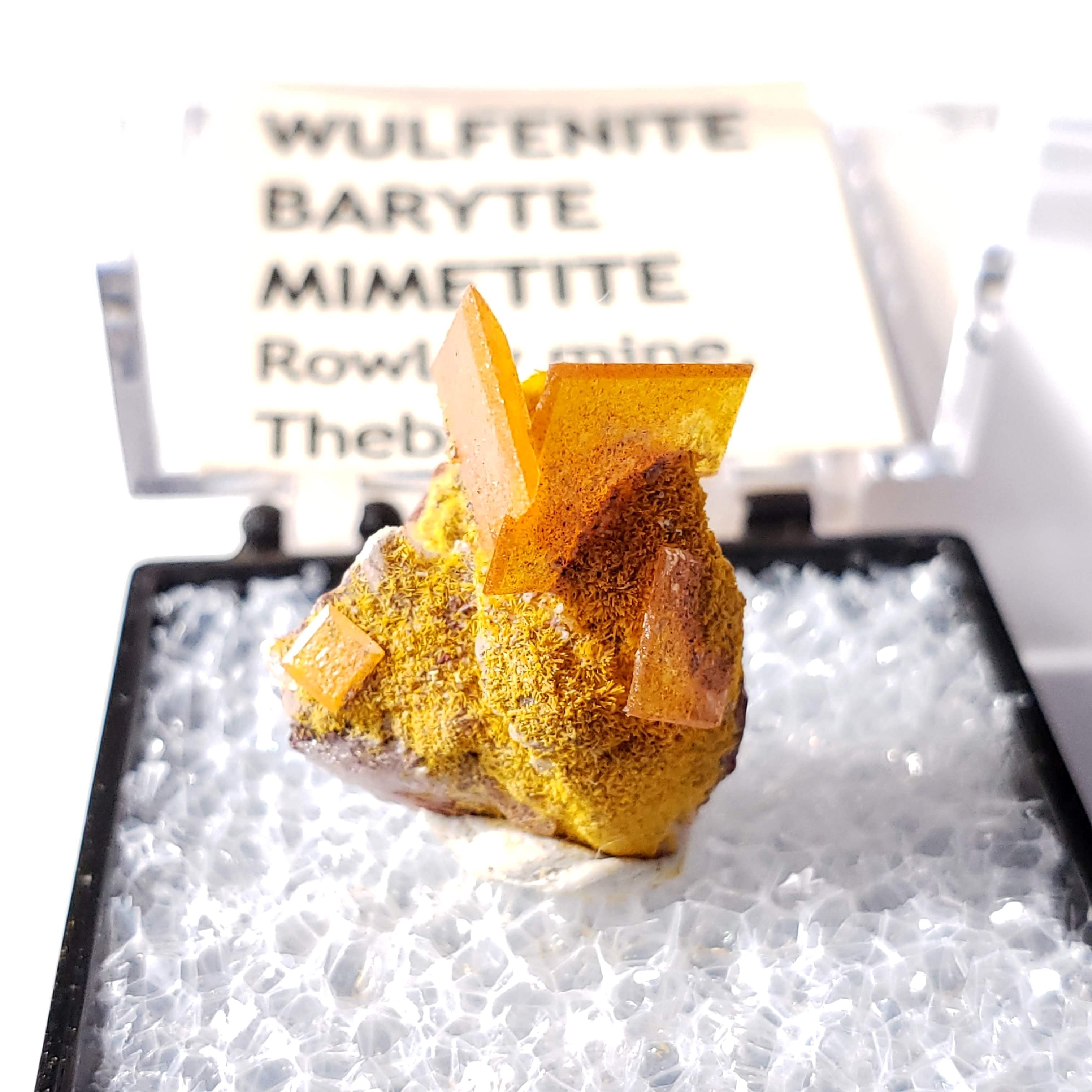 Wulfenite Crystals Nestled on Baryte & Mimetite Matrix Collectors Specimen From Rowley Mine, Arizona - Earth Family Crystals