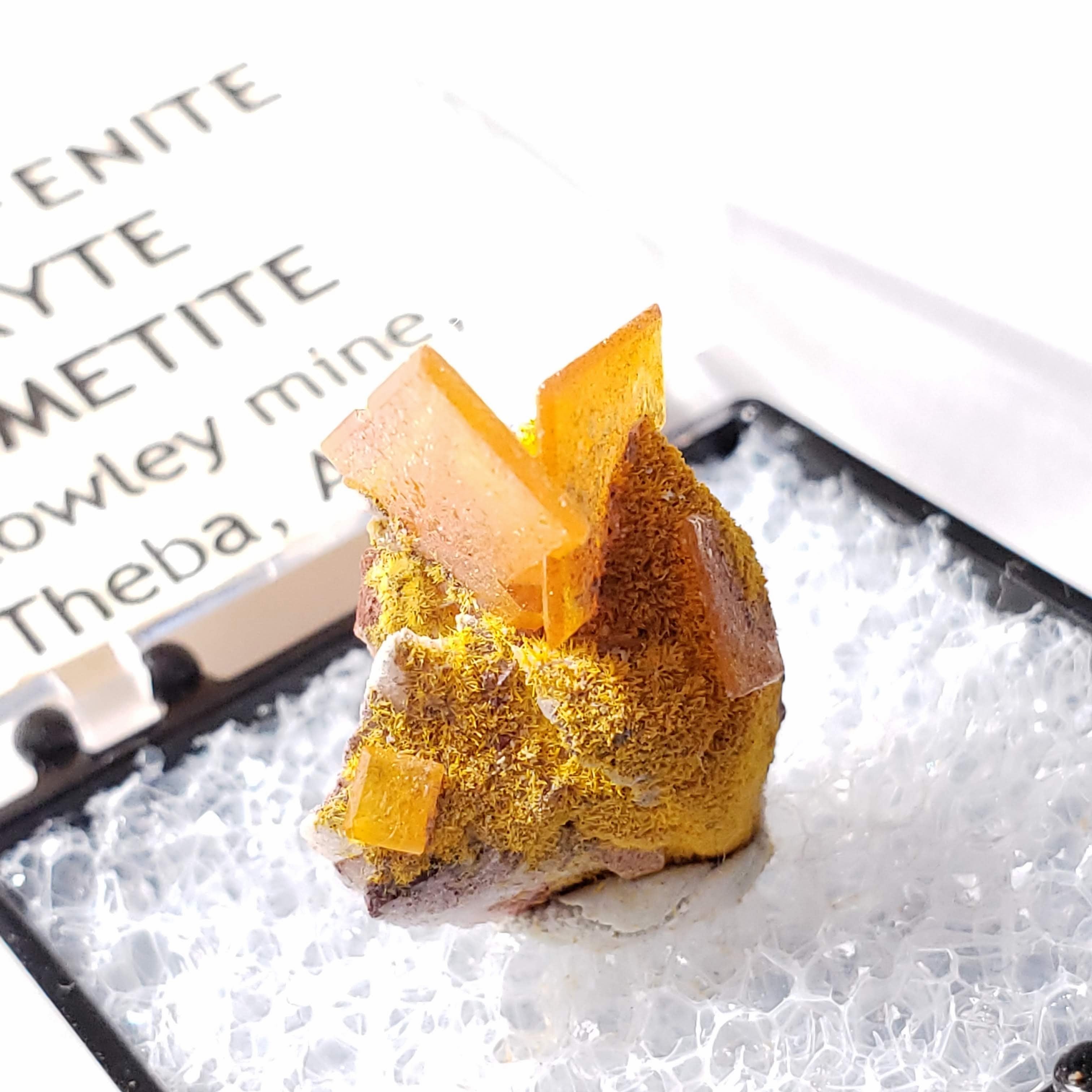 Wulfenite Crystals Nestled on Baryte & Mimetite Matrix Collectors Specimen From Rowley Mine, Arizona - Earth Family Crystals