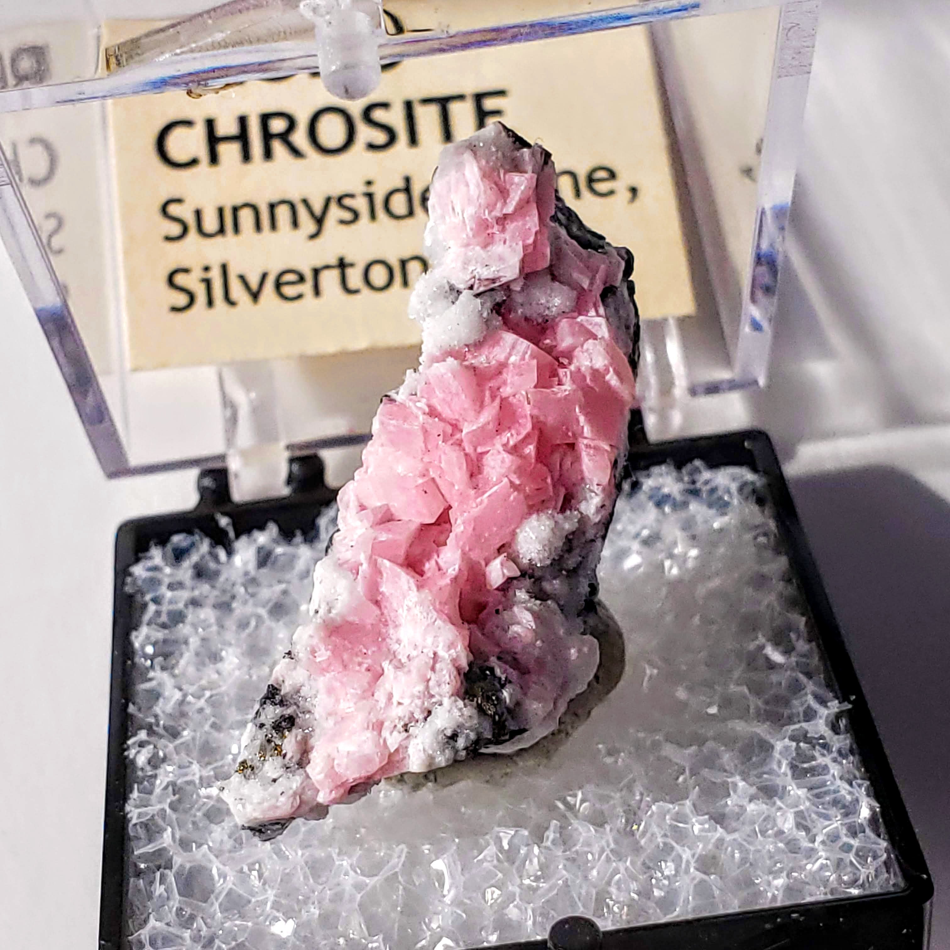 Raw Collectors Rhodochrosite From Sunnyside Mine, Silverton, CO In Collectors Box - Earth Family Crystals