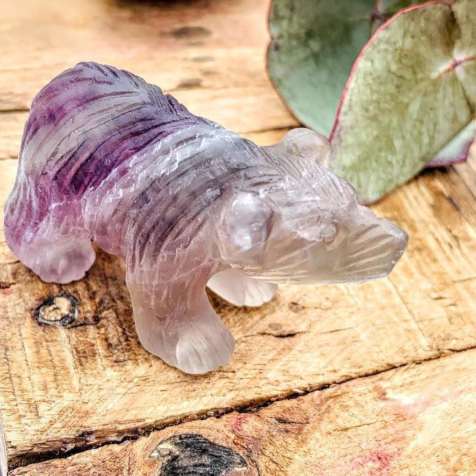 Adorable Rainbow Fluorite Bear Display Carving - Earth Family Crystals