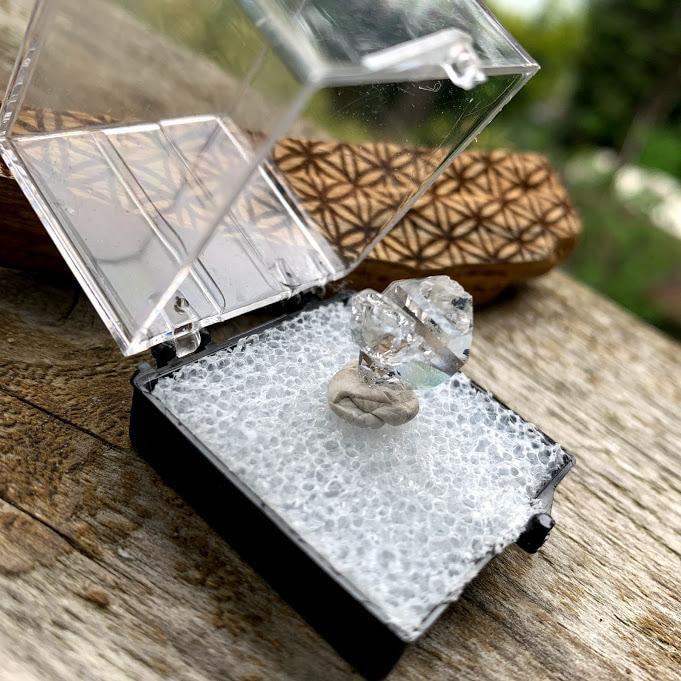 Brilliant Clarity New York Herkimer Diamond Quartz Specimen in Collectors Box #1 - Earth Family Crystals