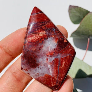 Agate & Red Jasper Cabochon Ideal for Crafting - Earth Family Crystals