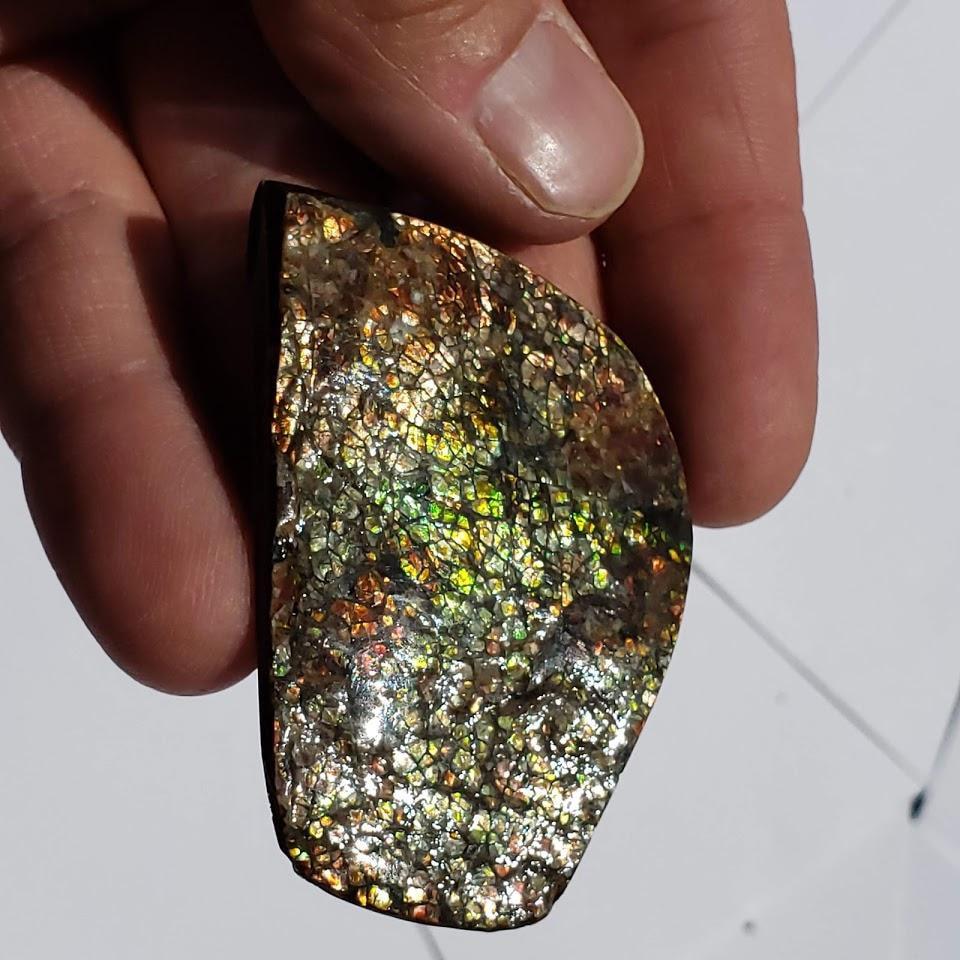 Chunky Alberta Ammolite Fossil Free Form Hand Held Specimen #6 - Earth Family Crystals