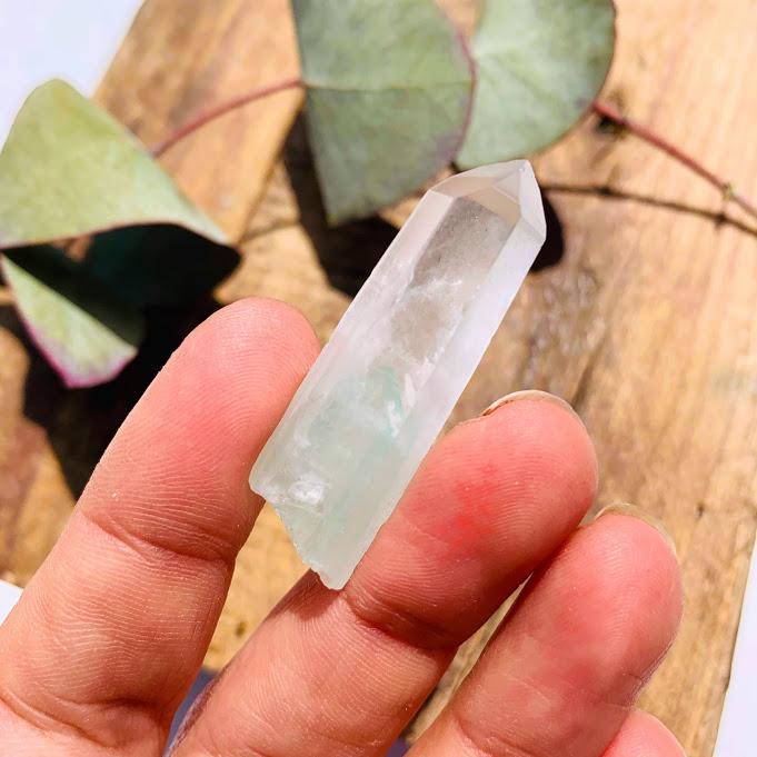 Rare Madagascar Mint Fuchsite  Phantom Quartz Natural Point #1 - Earth Family Crystals