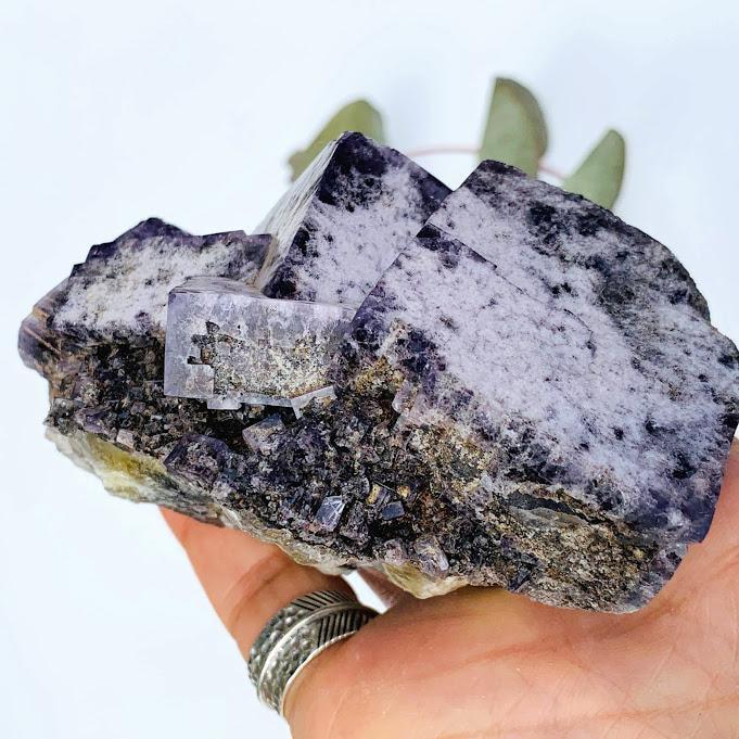 Collectors Large Rogerly Mine Golden & Purple Raw Fluorite Display Specimen From Frosterley, England - Earth Family Crystals