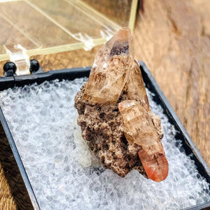 Golden Topaz in Matrix From Mexico in Collectors Box - Earth Family Crystals