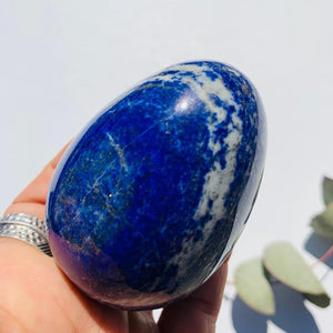 Beautiful XL Lapis Lazuli Egg Carving #1 - Earth Family Crystals