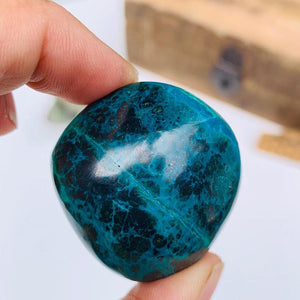 Robin Egg Turquoise Chrysocolla Palm Stone #1 - Earth Family Crystals