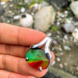 High Grade Quartz Capped Alberta Ammolite Pendant in Sterling Silver (Includes Silver Chain)
