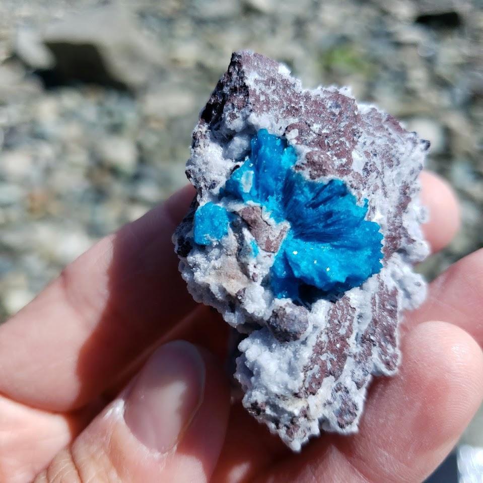 Electric Blue Fanned Cavansite Raw Cluster from India - Earth Family Crystals