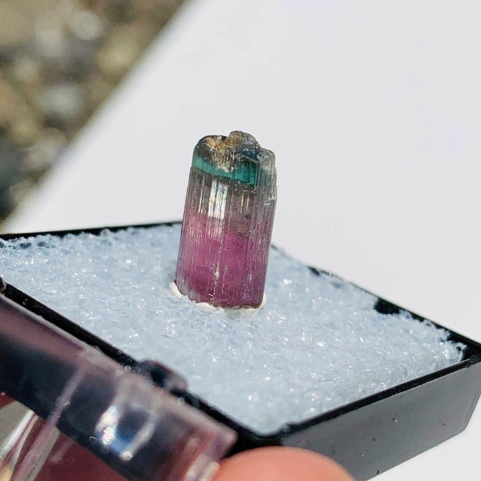 Blue Capped Pink Tourmaline Raw Specimen From Brazil in Collectors Box #6 - Earth Family Crystals