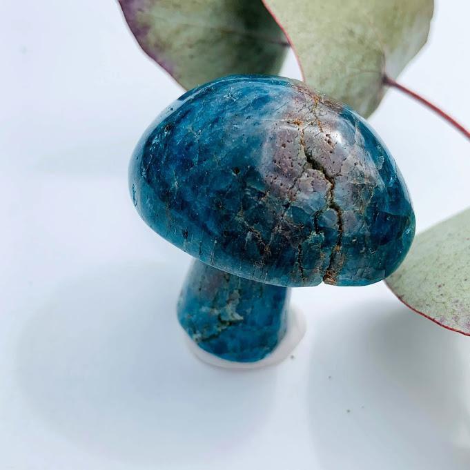 Cute Blue Apatite Mushroom Carving *REDUCED* - Earth Family Crystals