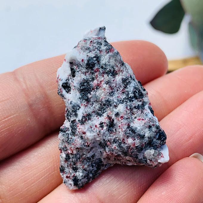 Rare Greenland Kakortokite With Agerine Collectors Specimen - Earth Family Crystals