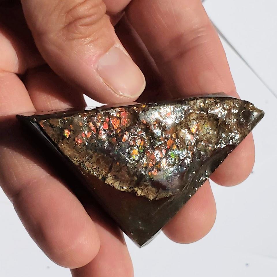 Chunky Alberta Ammolite Fossil Free Form Hand Held Specimen #1 - Earth Family Crystals