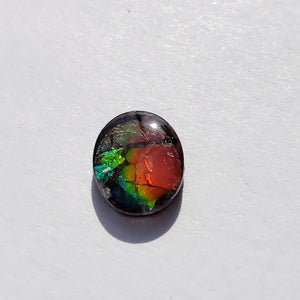 Quartz Capped Alberta Ammolite Small Cabochon in Collectors Box -Ideal for Crafting #2