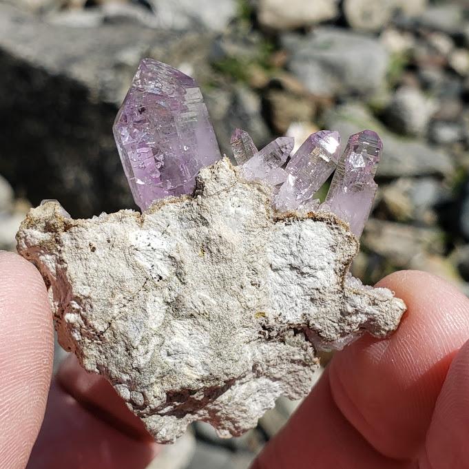 Sceptre Point  Vera Cruz Amethyst Cluster on Matrix