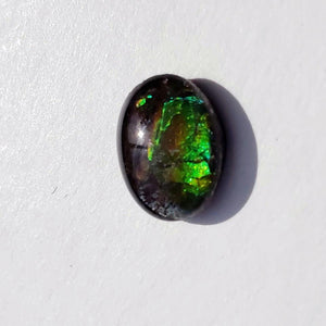 Quartz Capped Alberta Ammolite Small Cabochon in Collectors Box -Ideal for Crafting #1