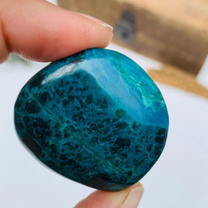 Robin Egg Turquoise Chrysocolla Palm Stone #1 - Earth Family Crystals