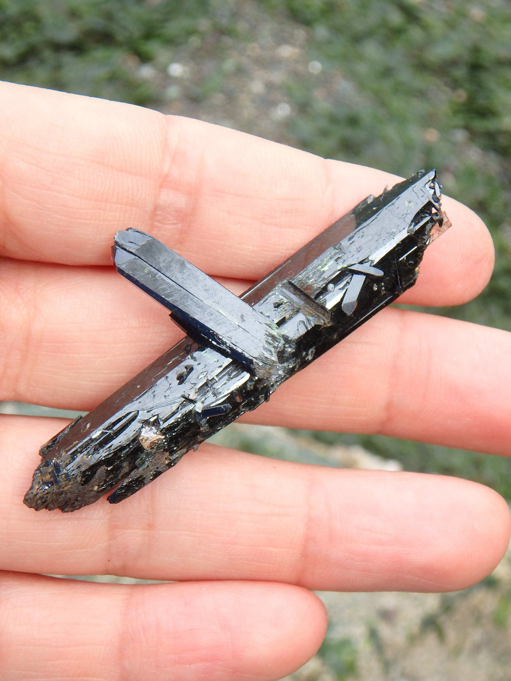 Brilliant Aegirine Natural Specimen 1 - Earth Family Crystals