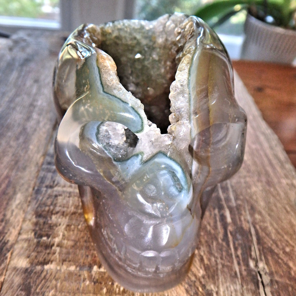 Galaxy Agate Incredible Deep Cave Skull Druzy Geode Carving - Earth Family Crystals