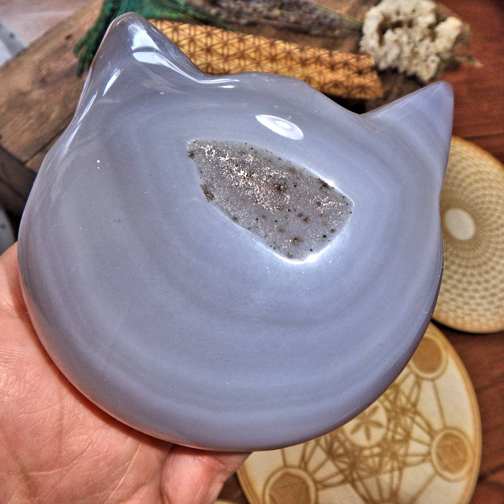 Cat Lover Druzy Geode Large Agate Carving 8 - Earth Family Crystals