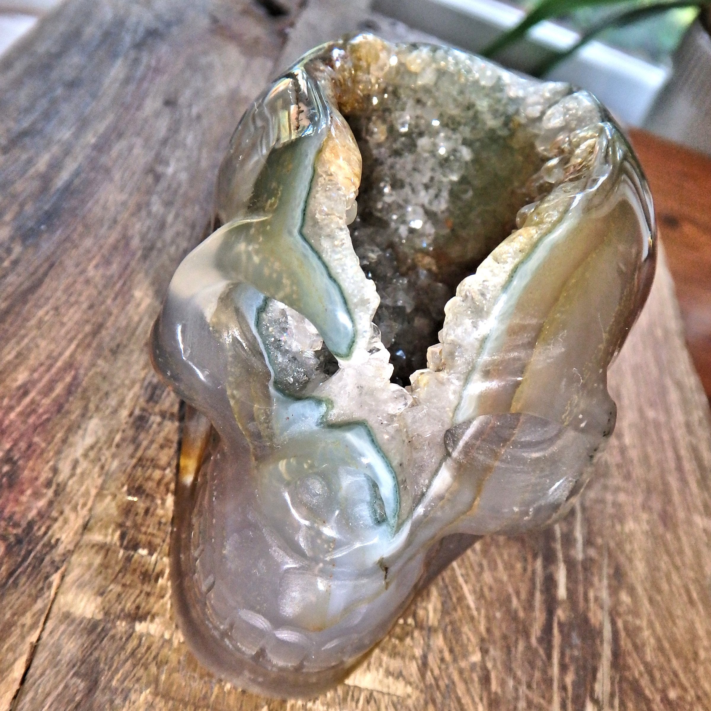 Galaxy Agate Incredible Deep Cave Skull Druzy Geode Carving - Earth Family Crystals