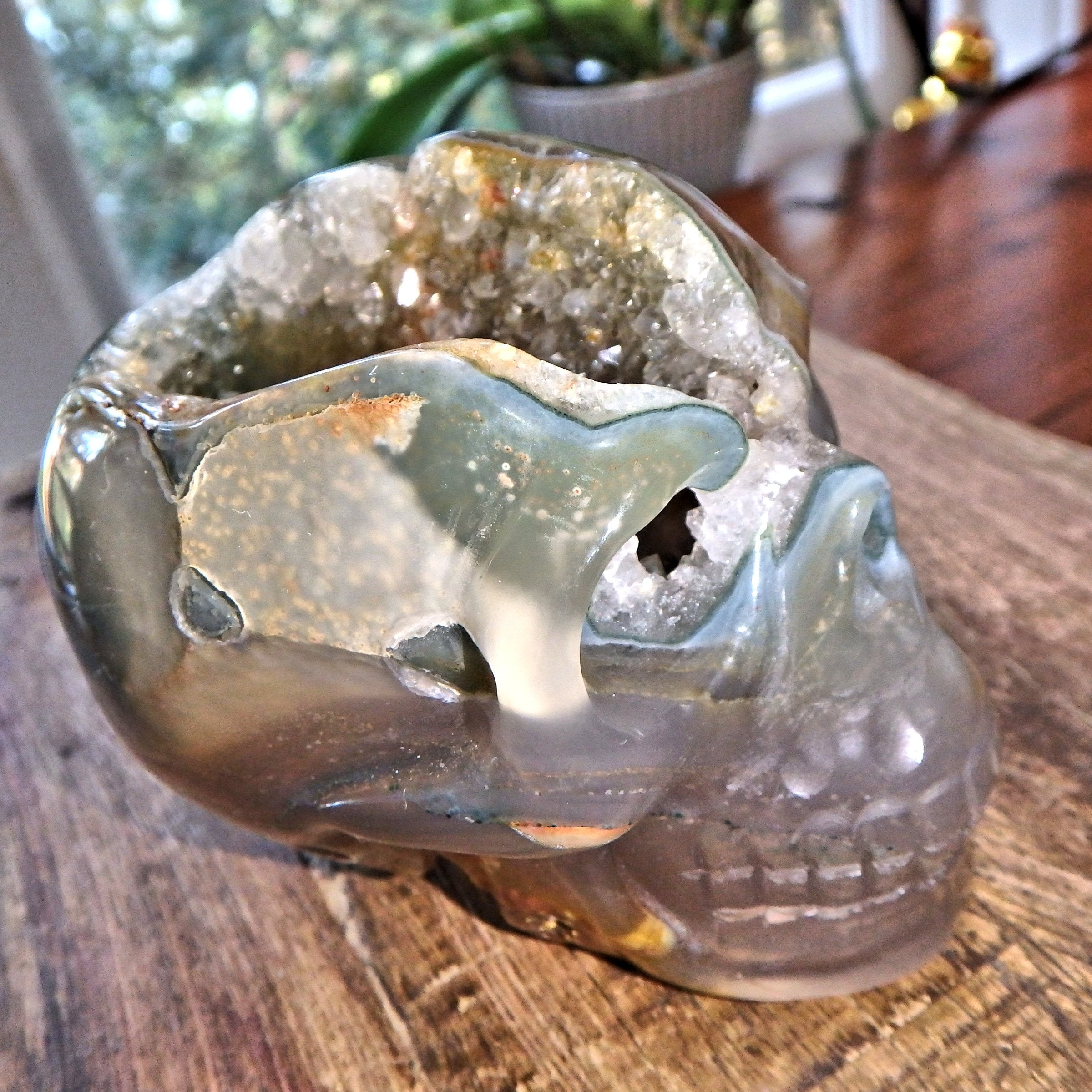 Galaxy Agate Incredible Deep Cave Skull Druzy Geode Carving - Earth Family Crystals