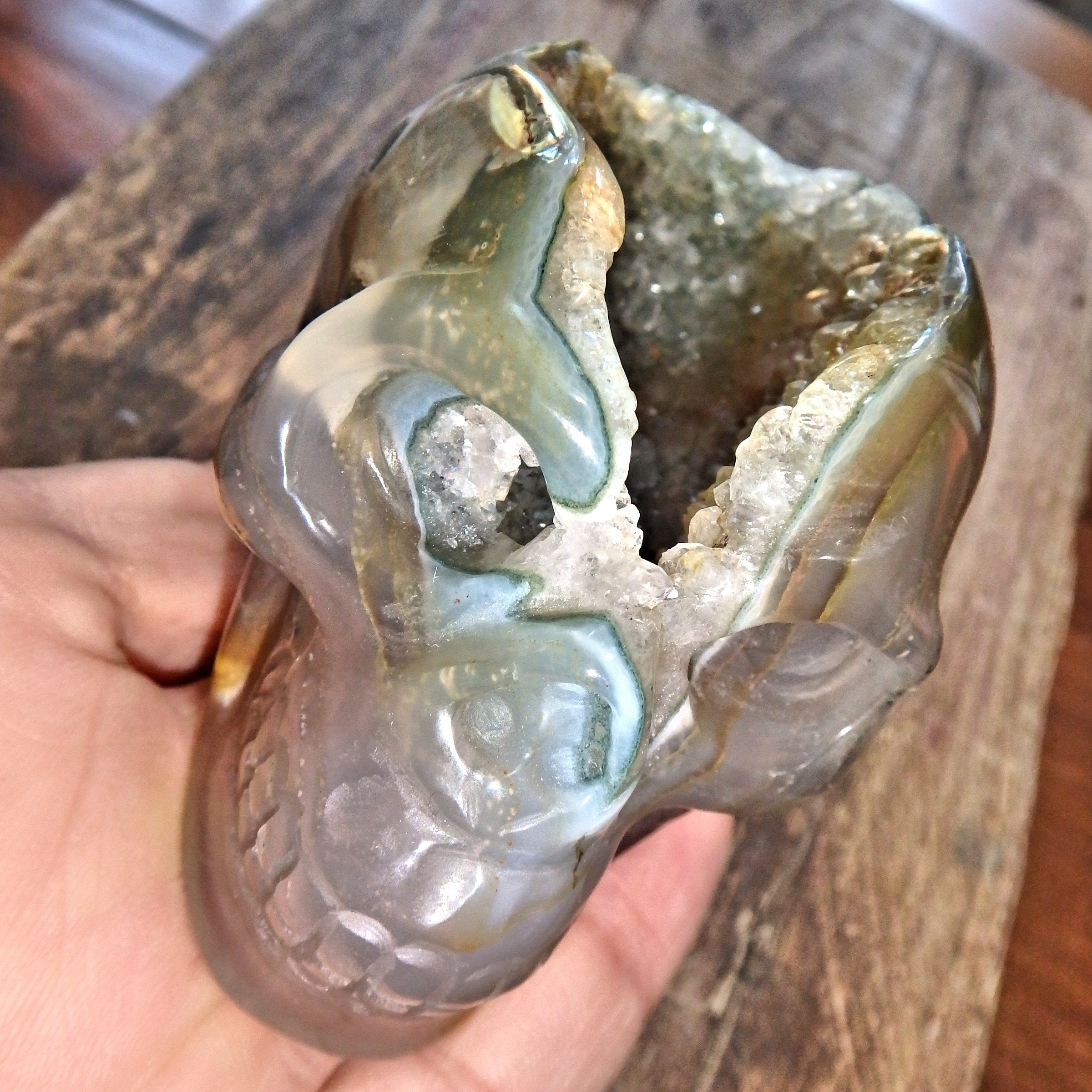 Galaxy Agate Incredible Deep Cave Skull Druzy Geode Carving - Earth Family Crystals