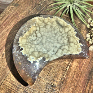 Extreme Shimmer Galaxy Agate Geode Crescent Moon Display Carving - Earth Family Crystals