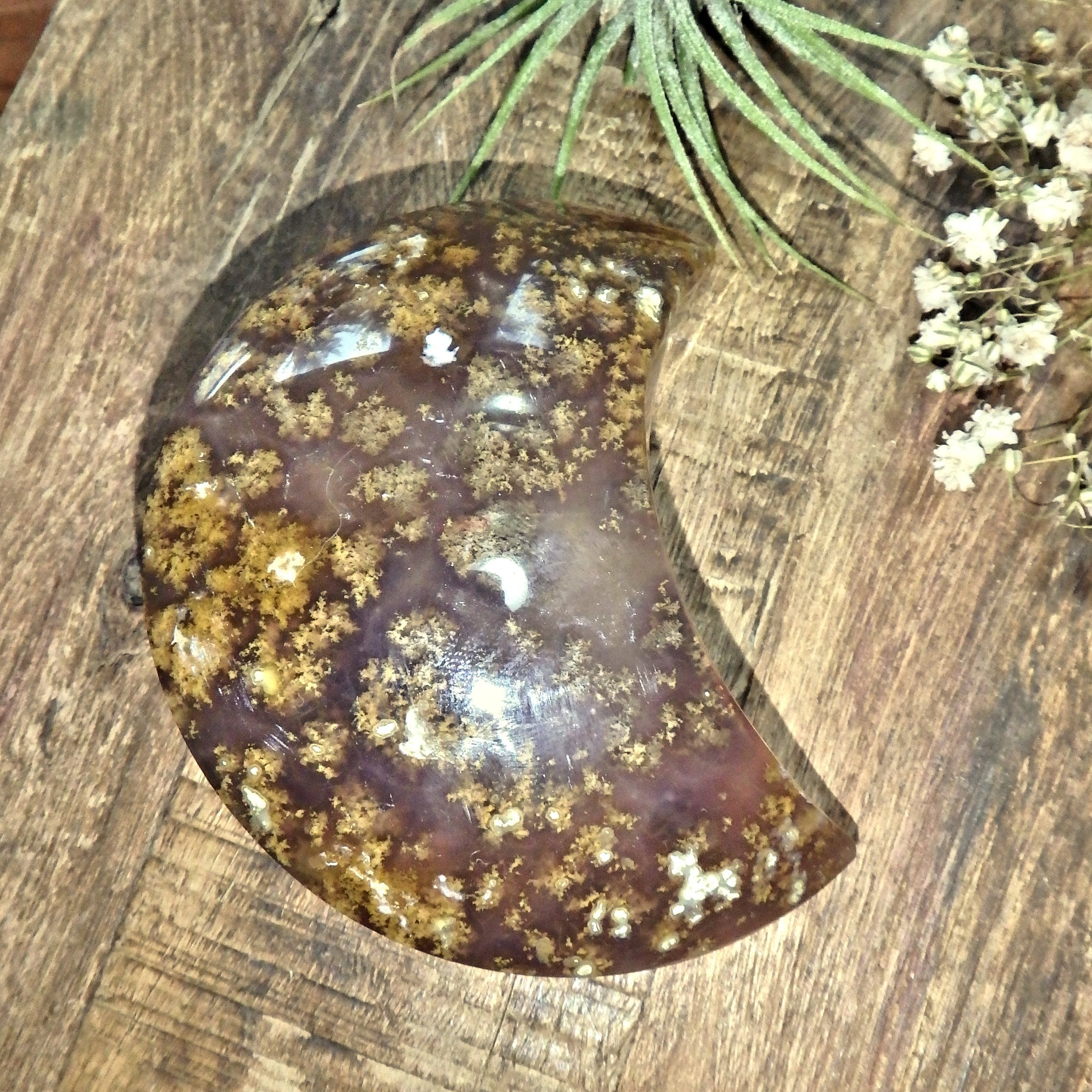 Extreme Shimmer Galaxy Agate Geode Crescent Moon Display Carving - Earth Family Crystals