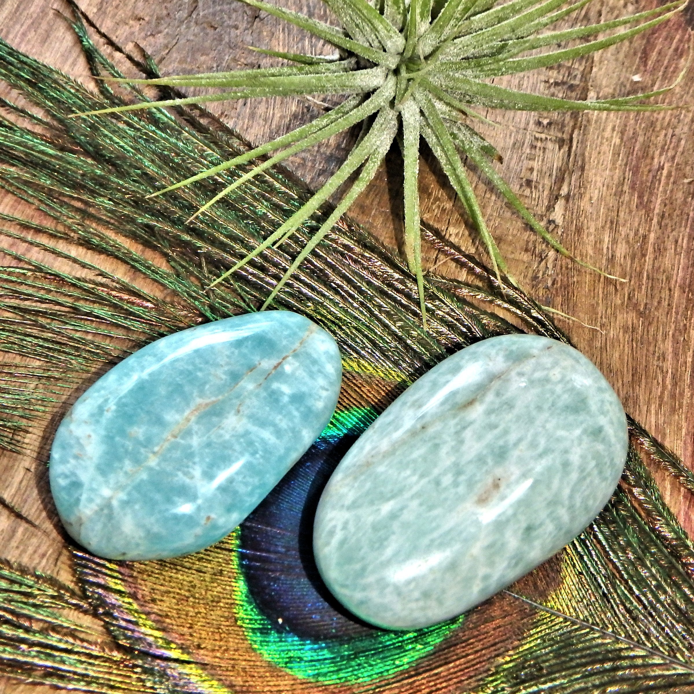 Set of 2 Dreamy Caribbean Blue Amazonite Palm Stones