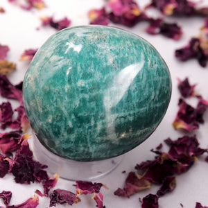 Relaxing Turquoise Waters Blue Amazonite Palm Stone - Earth Family Crystals