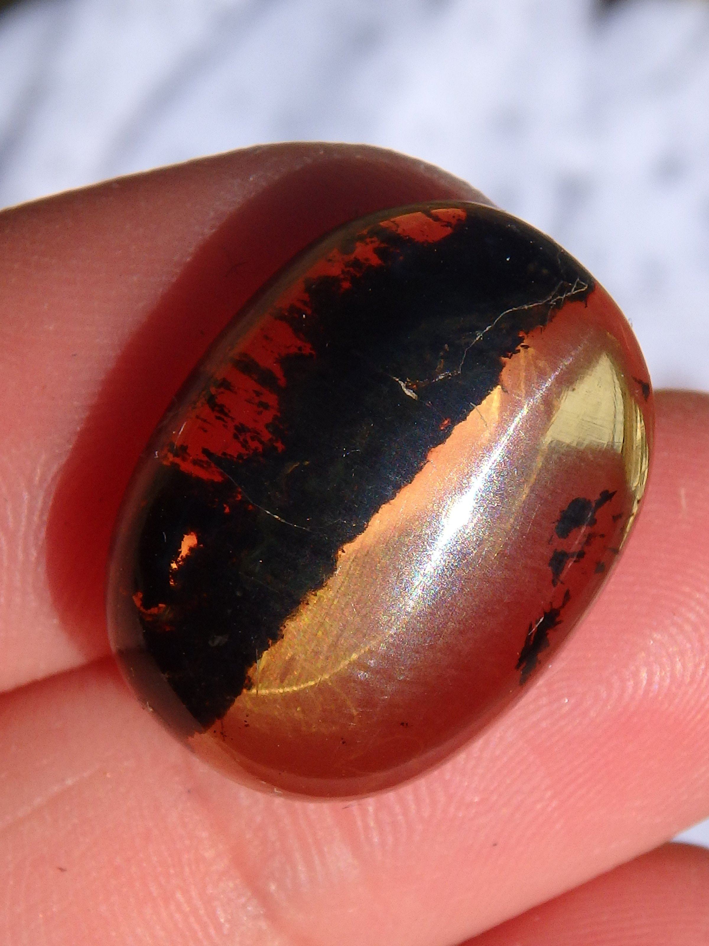 Beautiful Golden Amber Cabochon From Mexico~Ideal For Jewellery Making 6 - Earth Family Crystals