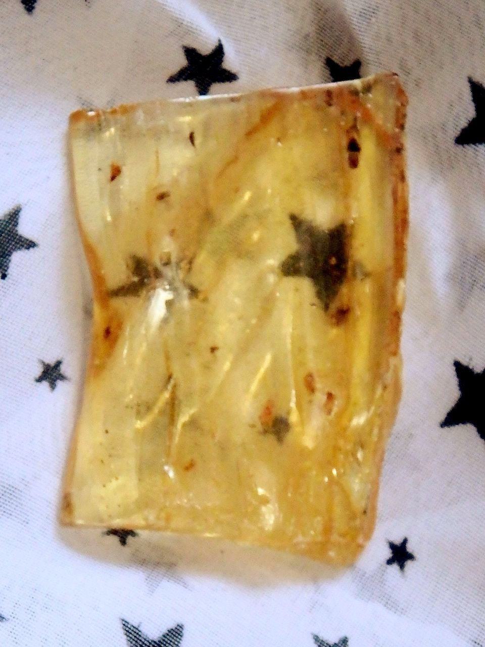 Colombian Amber Copal With Bugs Free Form 2 - Earth Family Crystals