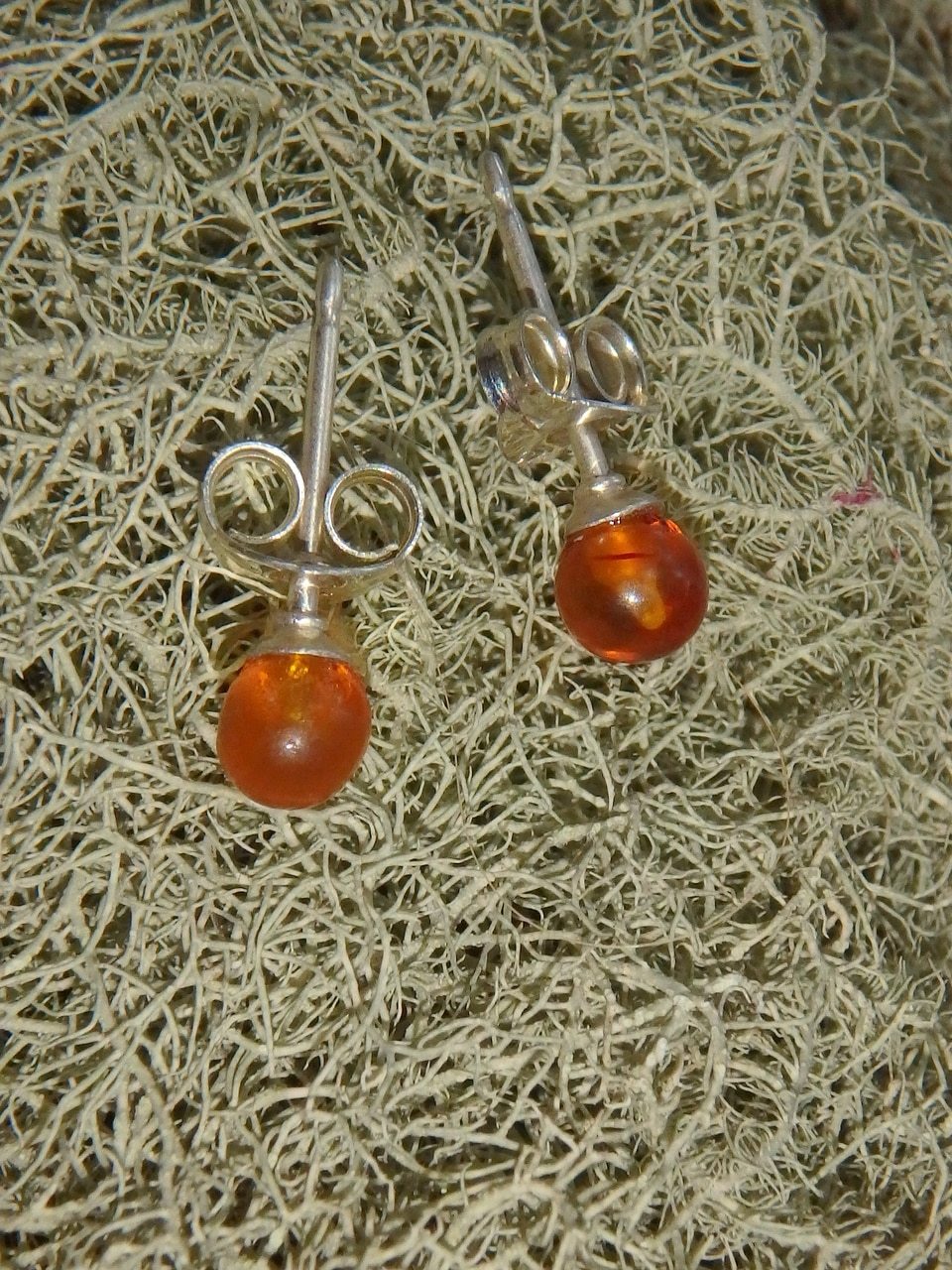 Tiny Golden Amber Stud Earrings in Sterling Silver - Earth Family Crystals