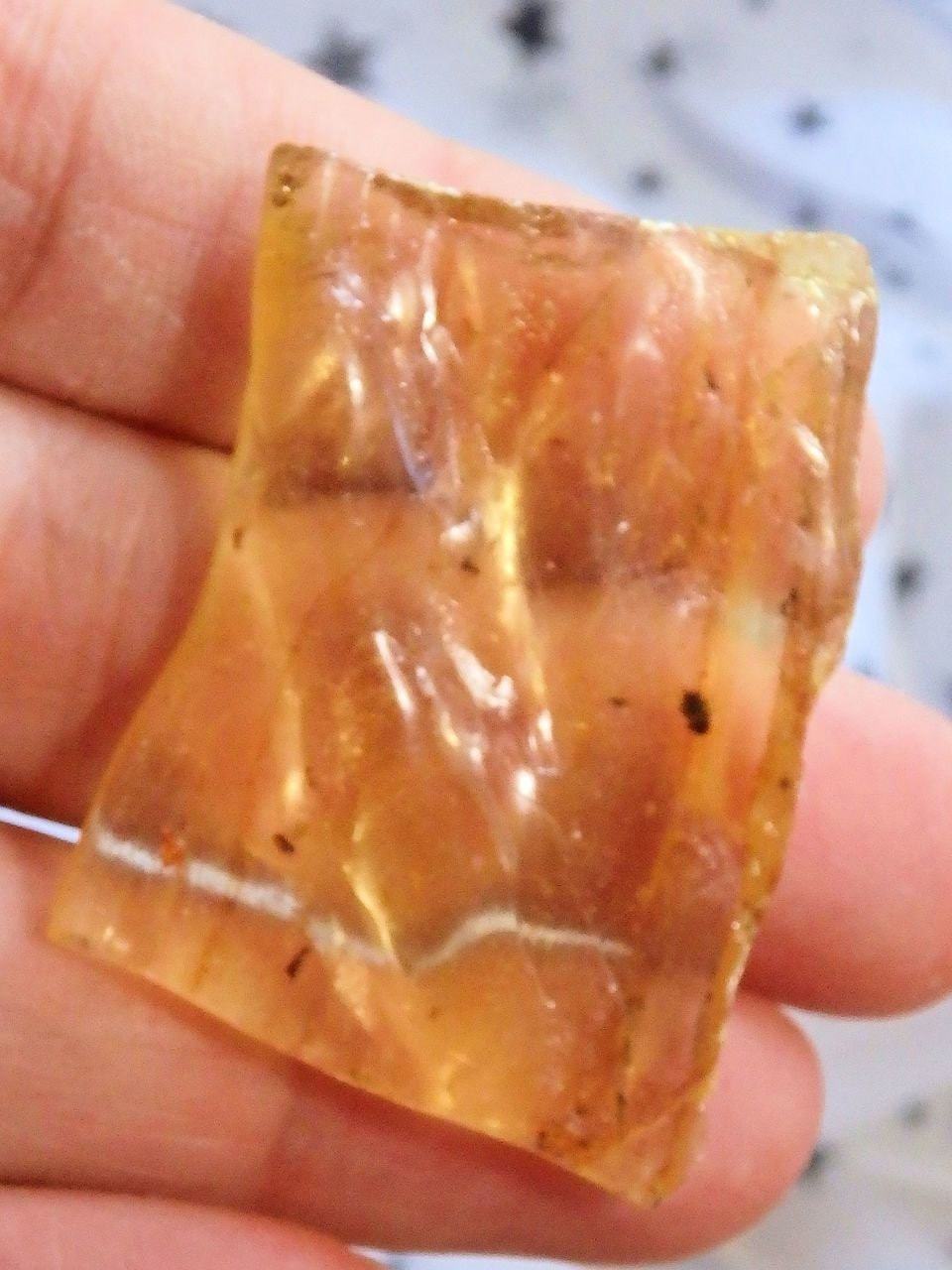 Colombian Amber Copal With Bugs Free Form 2 - Earth Family Crystals