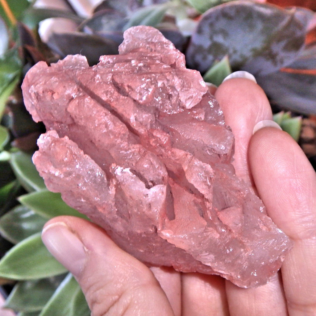 Blushing Pink Earth Etched Nirvana Ice Quartz From The Himalayas - Earth Family Crystals