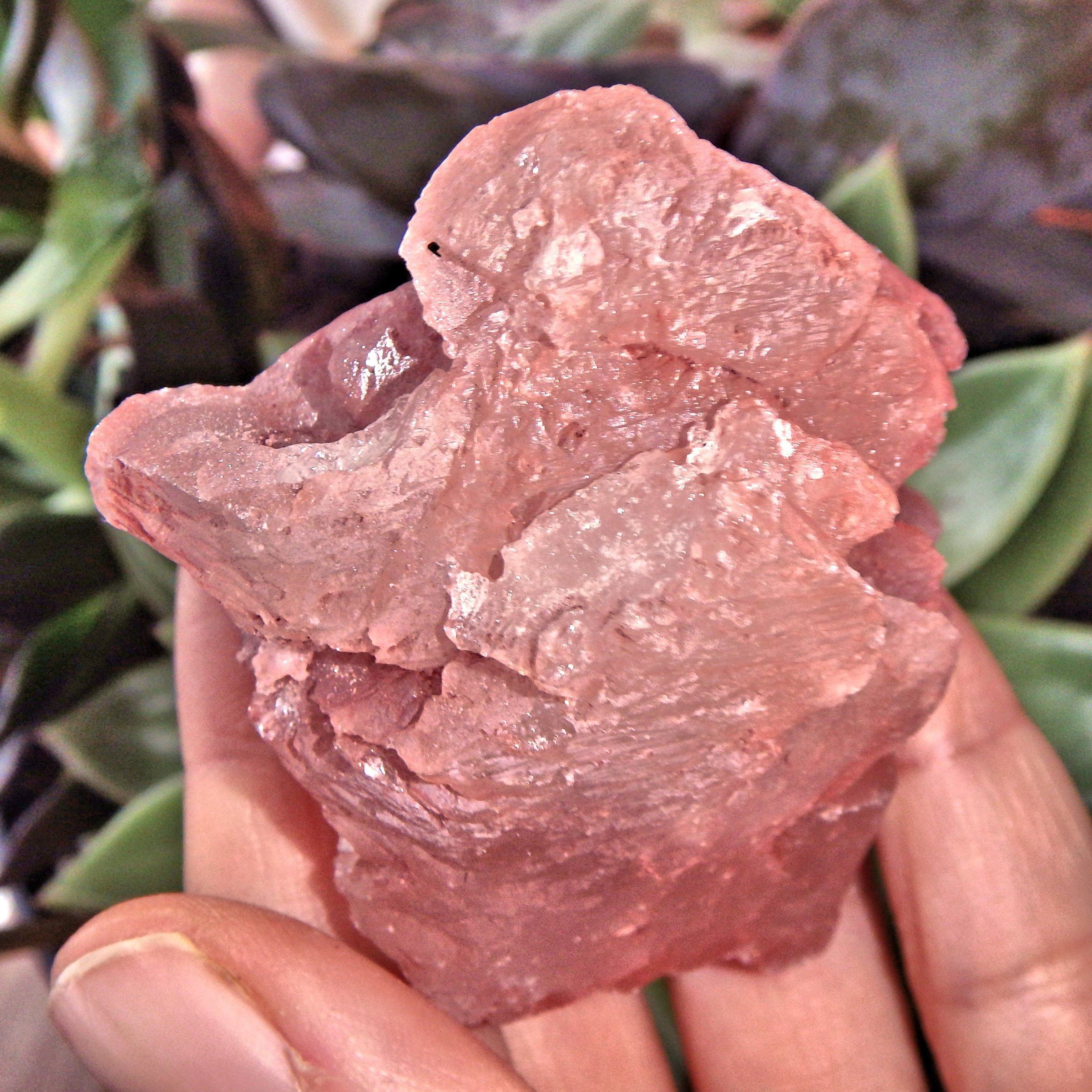 Blushing Pink Earth Etched Nirvana Ice Quartz From The Himalayas - Earth Family Crystals